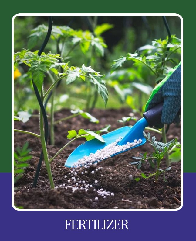 FERTILIZER