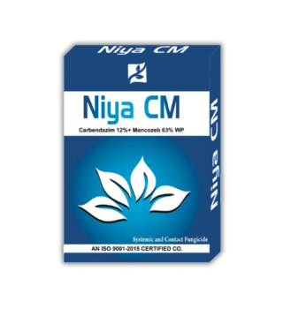 Niya CM