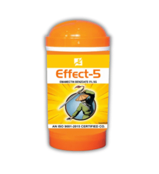 Effect-5