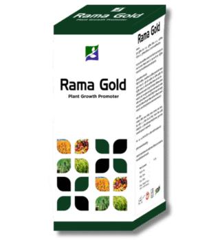 Rama Gold